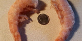 Hewitt's Meats Awesome Shrimp nest to  a Quarter